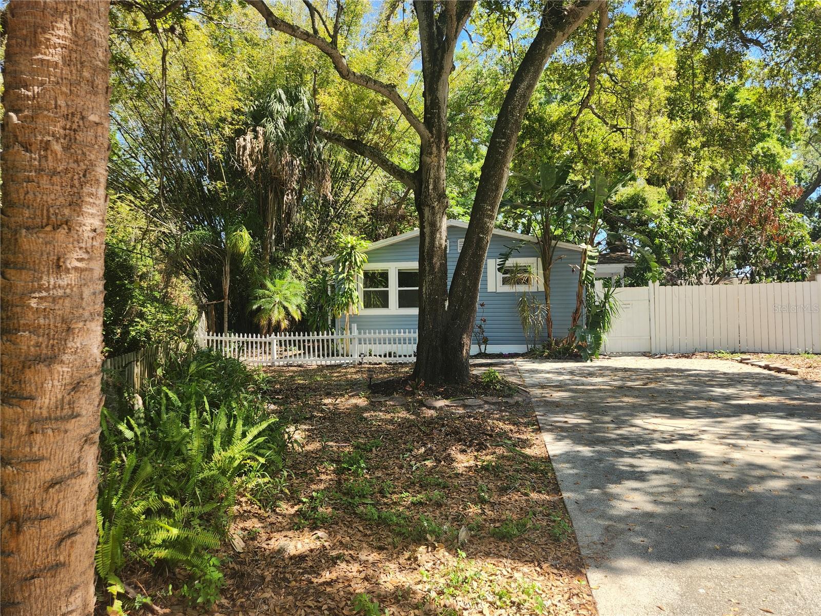 Details for 504 Belmont Street, SAFETY HARBOR, FL 34695