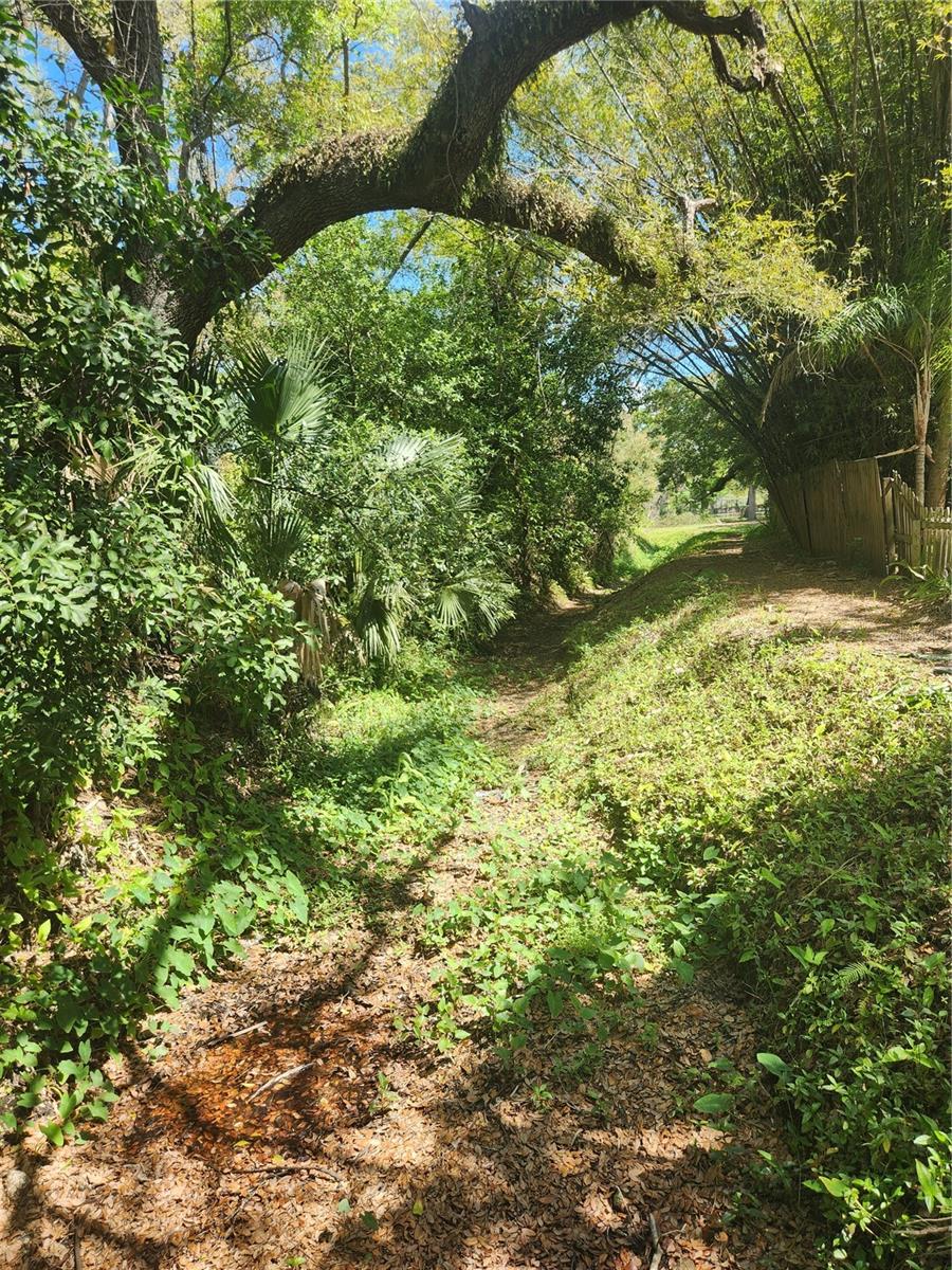 Listing photo id 17 for 504 Belmont Street