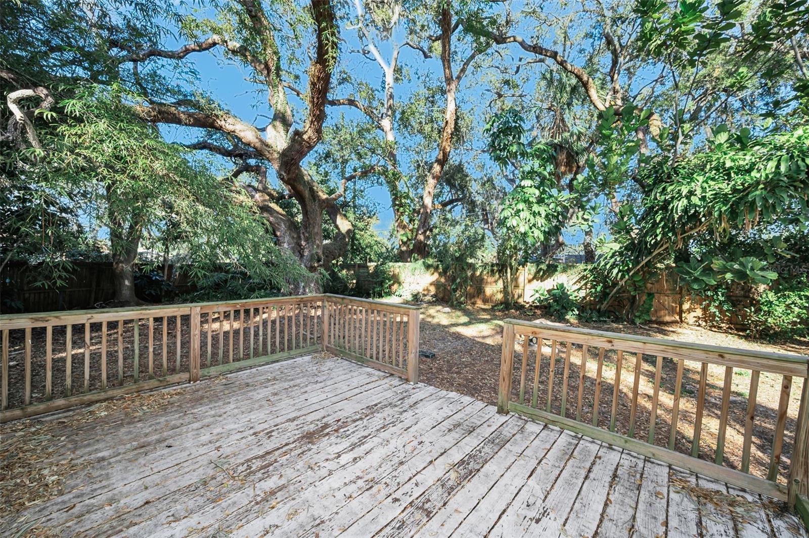 Listing photo id 19 for 504 Belmont Street