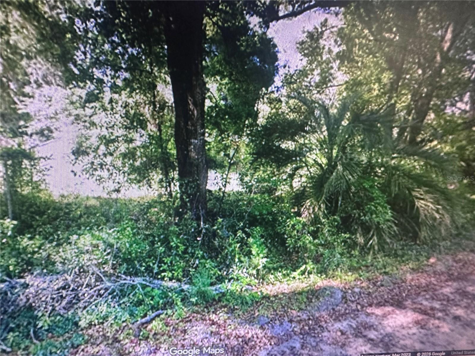 Image 3 of 5 For 4289 20th Street