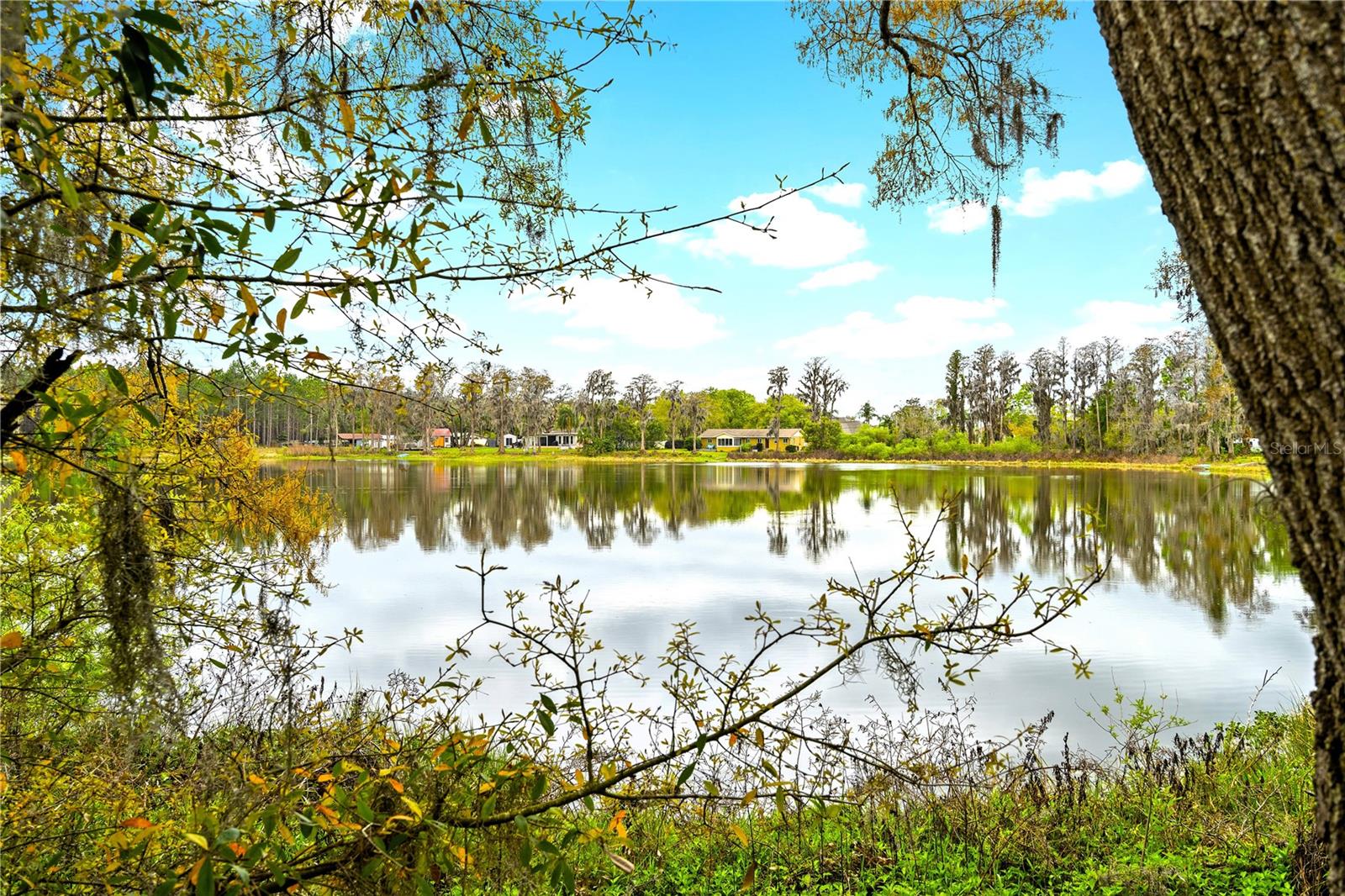 Details for 18117 Boy Scout Road, ODESSA, FL 33556