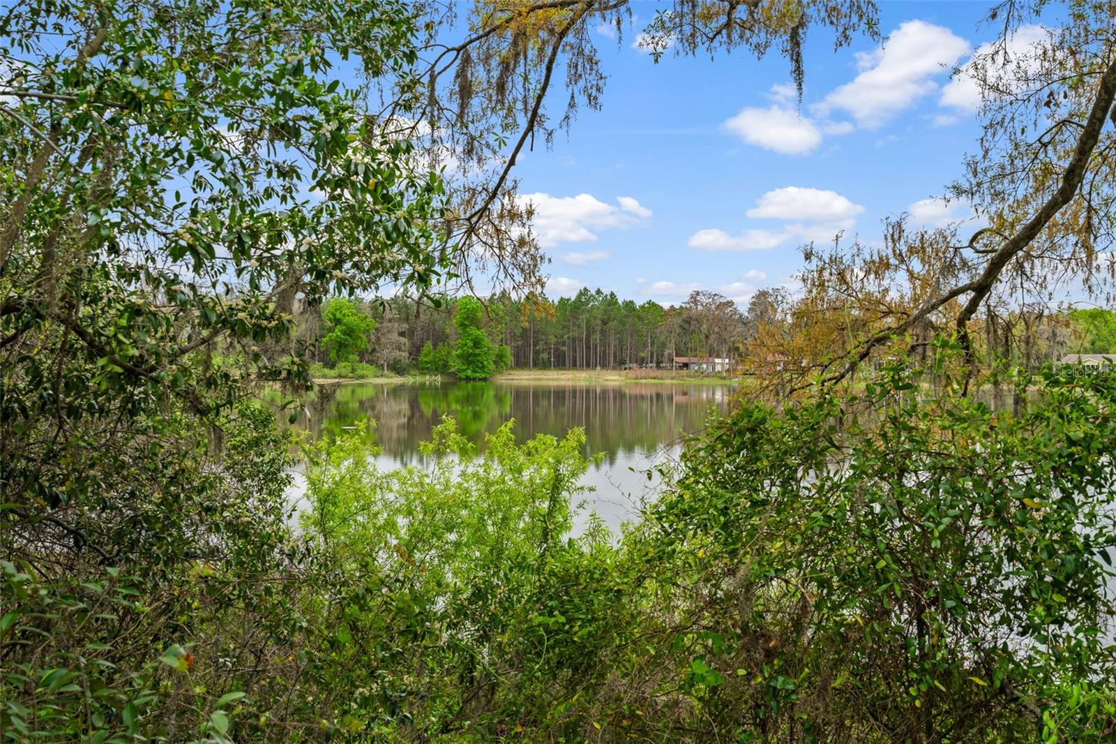 Image 15 of 26 For 18117 Boy Scout Road