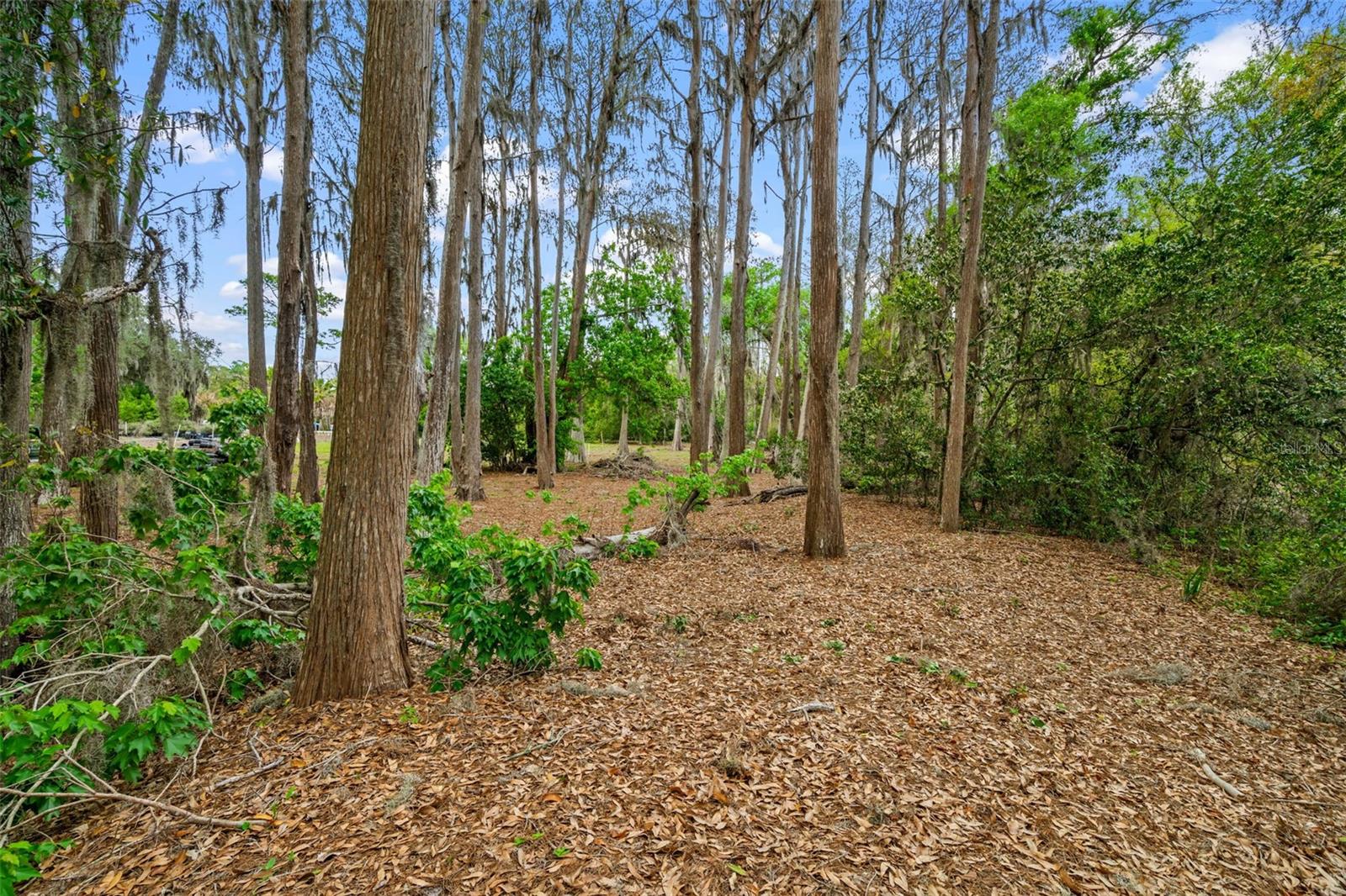 Image 17 of 26 For 18117 Boy Scout Road