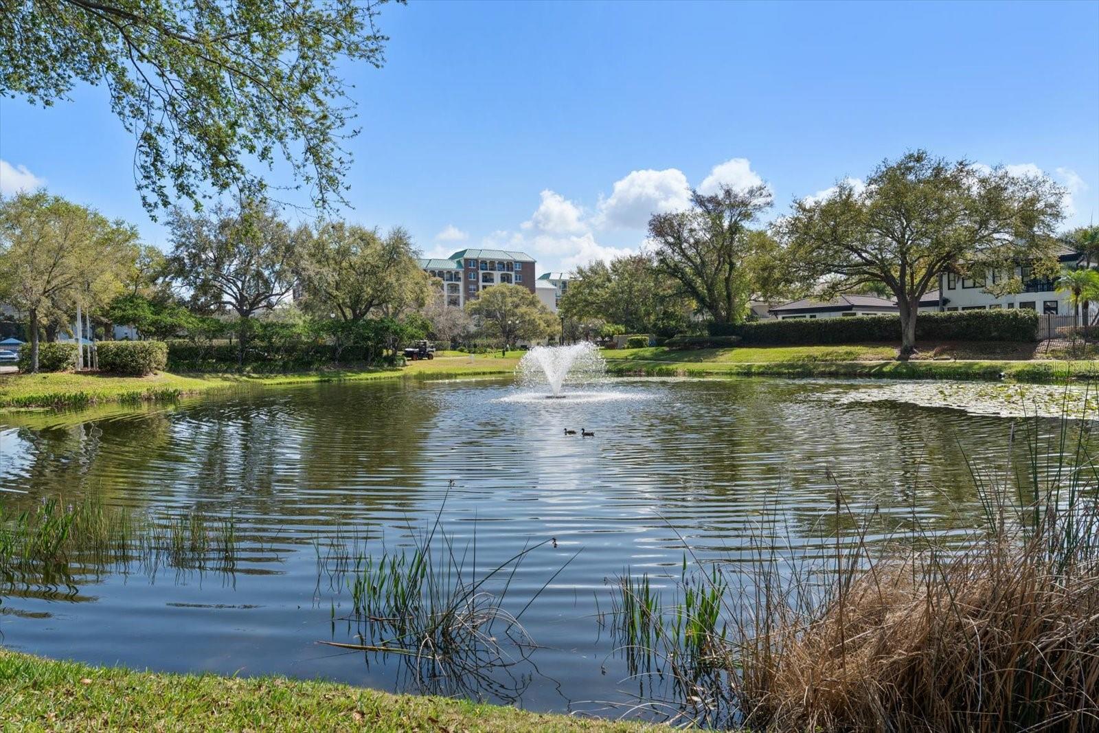 Image 48 of 62 For 947 Seddon Cove Way 947