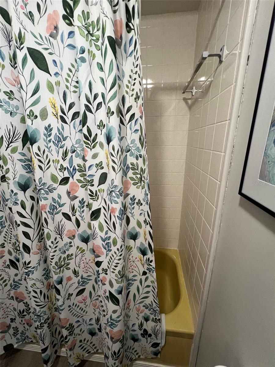 Image 24 of 35 For 471 Needle Palm Street