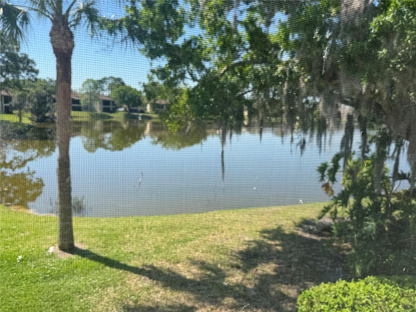 Image 5 of 10 For 212 Cypress Lane