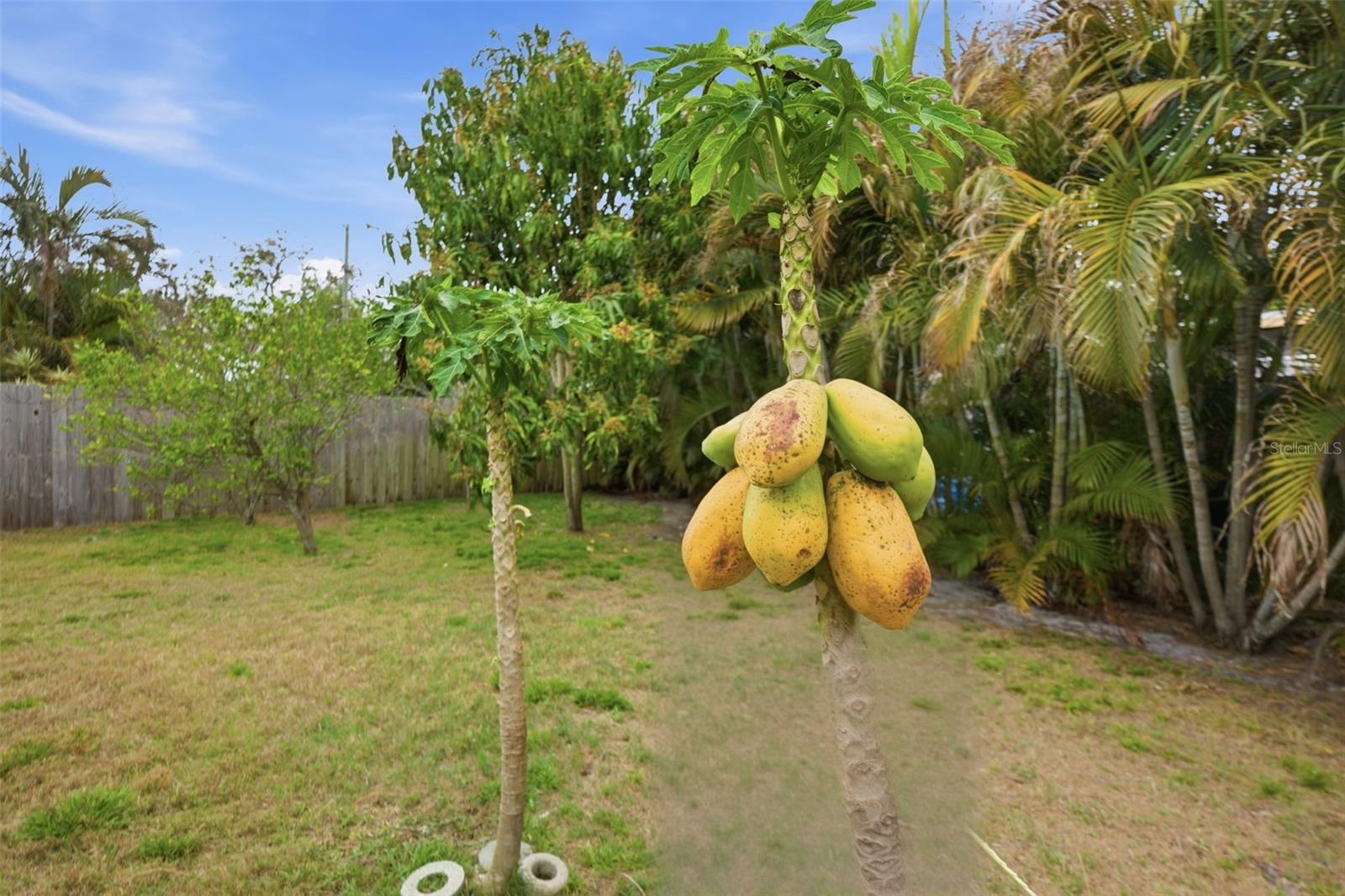 Image 39 of 50 For 2036 Ridge Drive