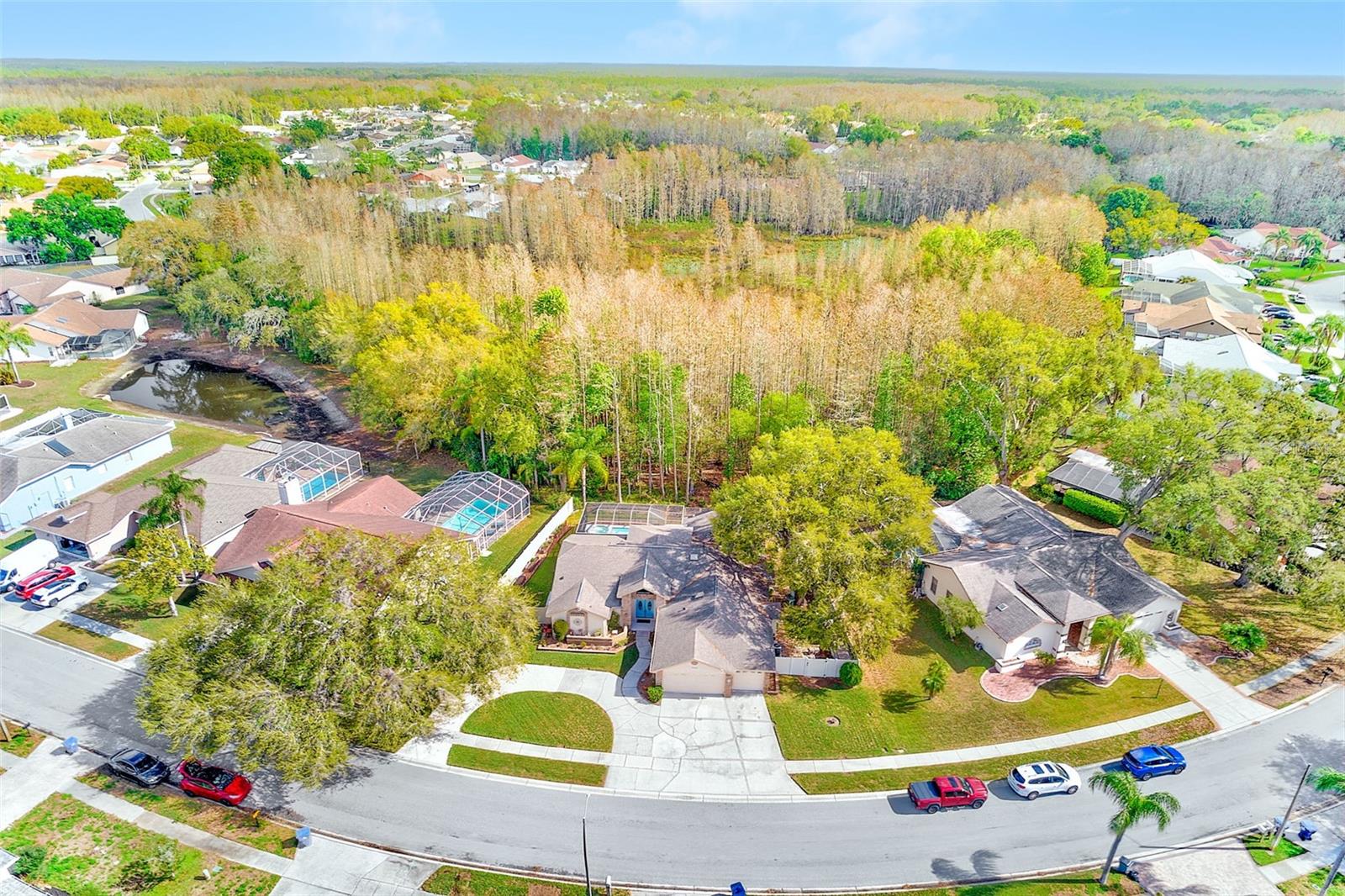 Image 55 of 59 For 9743 Hermosillo Drive