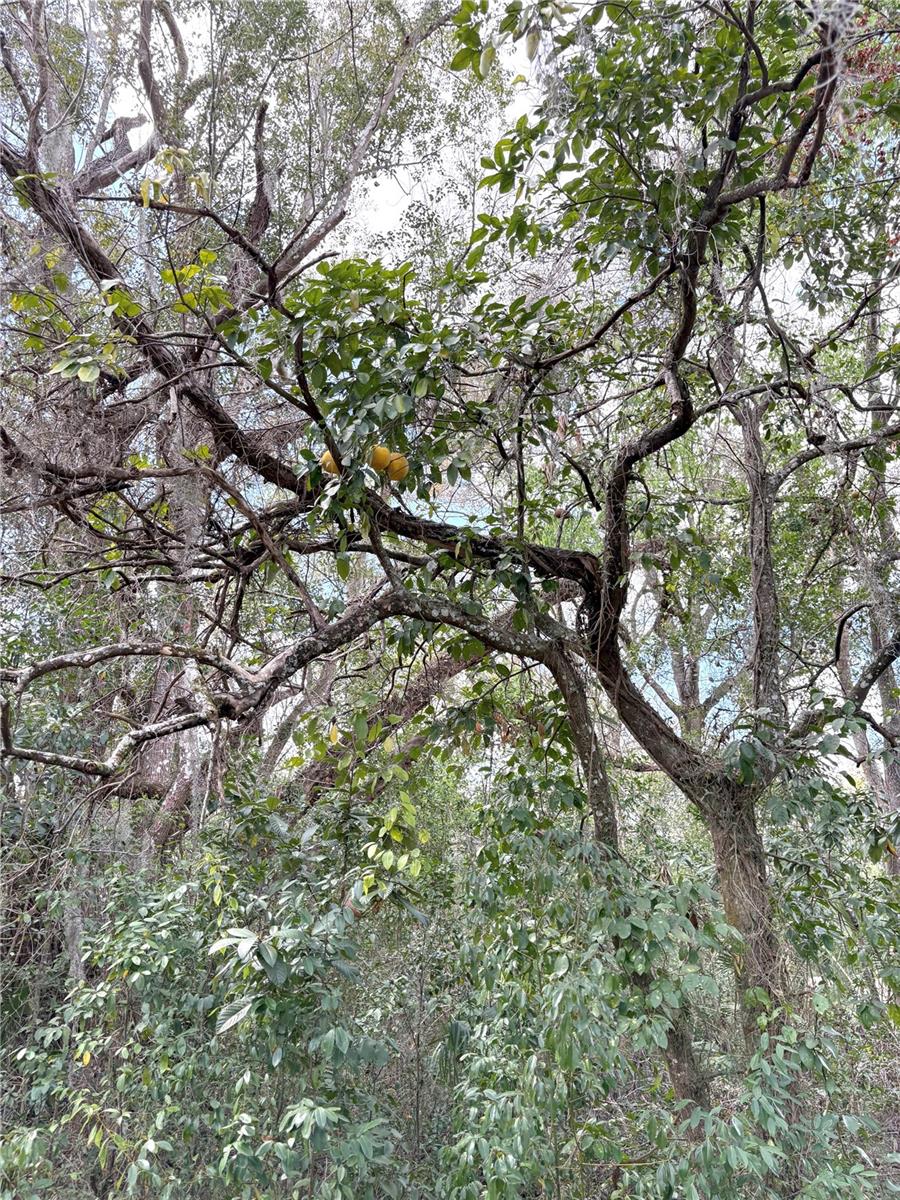 Image 17 of 31 For 21249 Durden Road