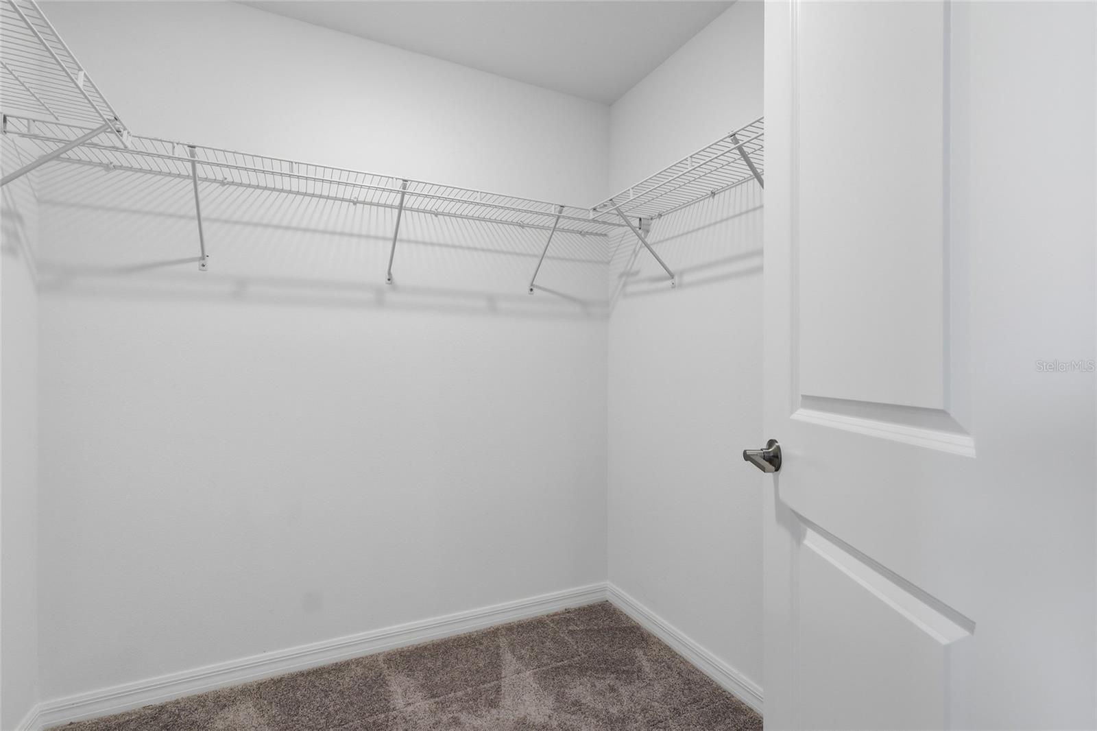 Image 5 of 30 For 32127 Powderpuff Mimosa Drive