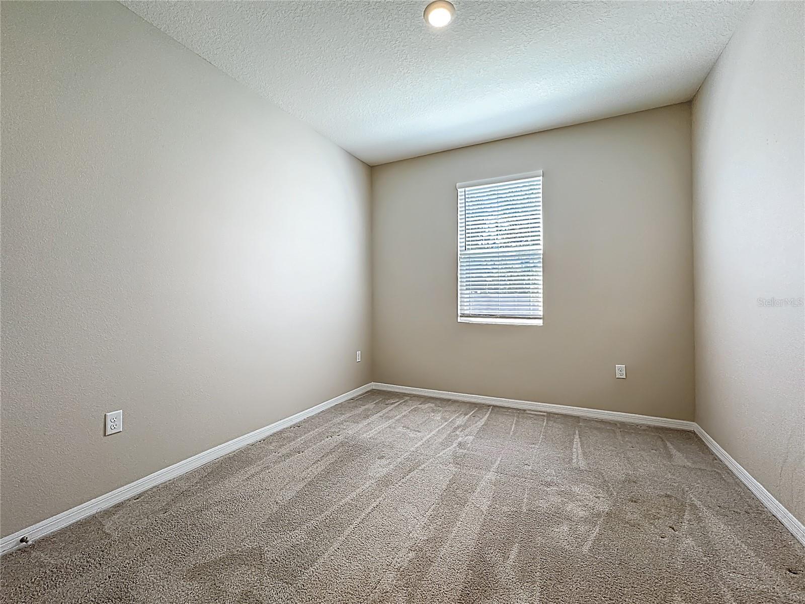 Listing photo id 29 for 13071 Brookside Moss Drive