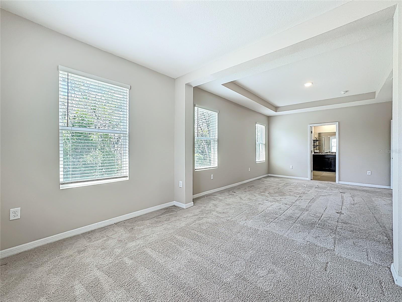 Listing photo id 42 for 13071 Brookside Moss Drive