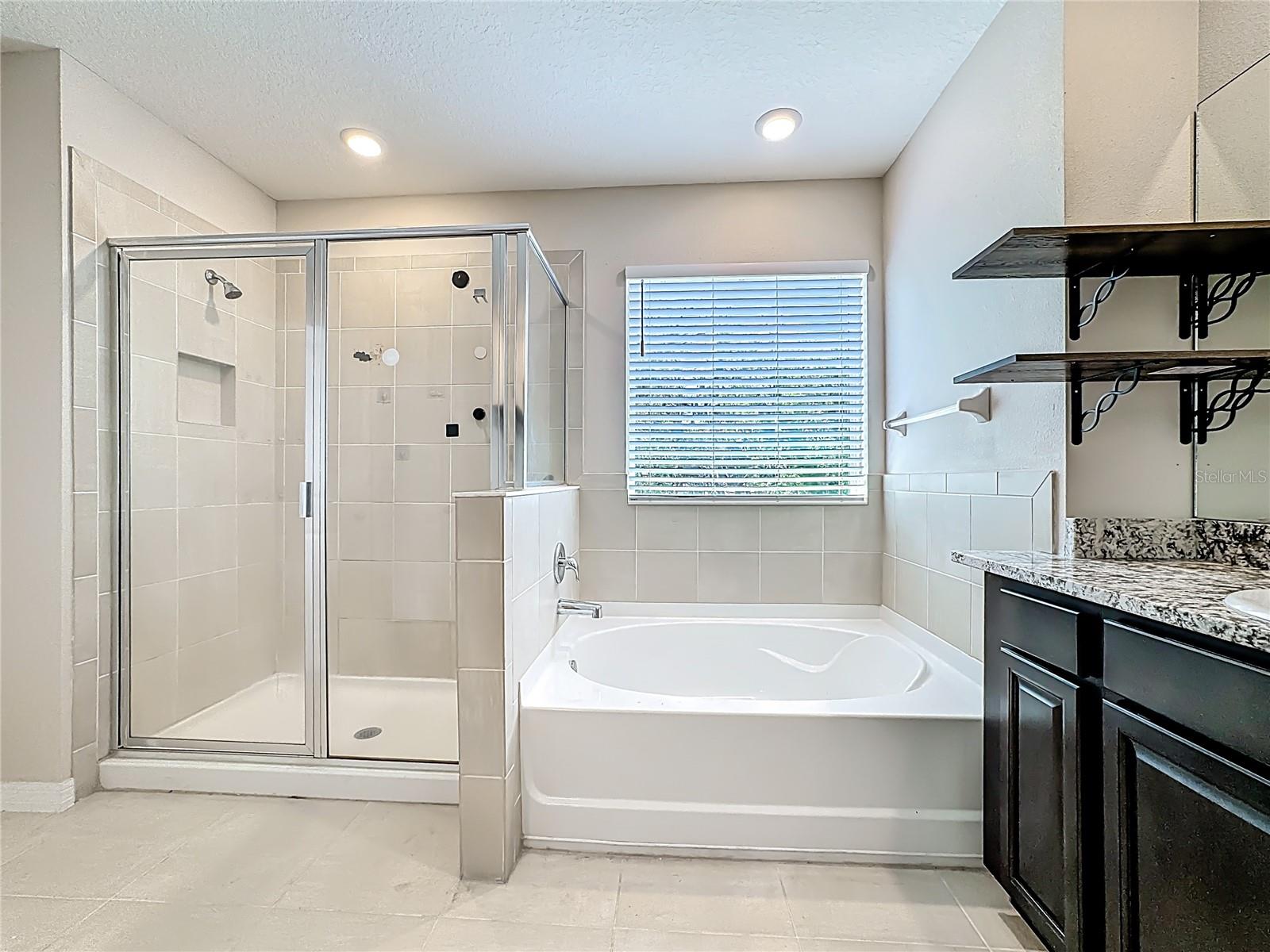 Listing photo id 48 for 13071 Brookside Moss Drive