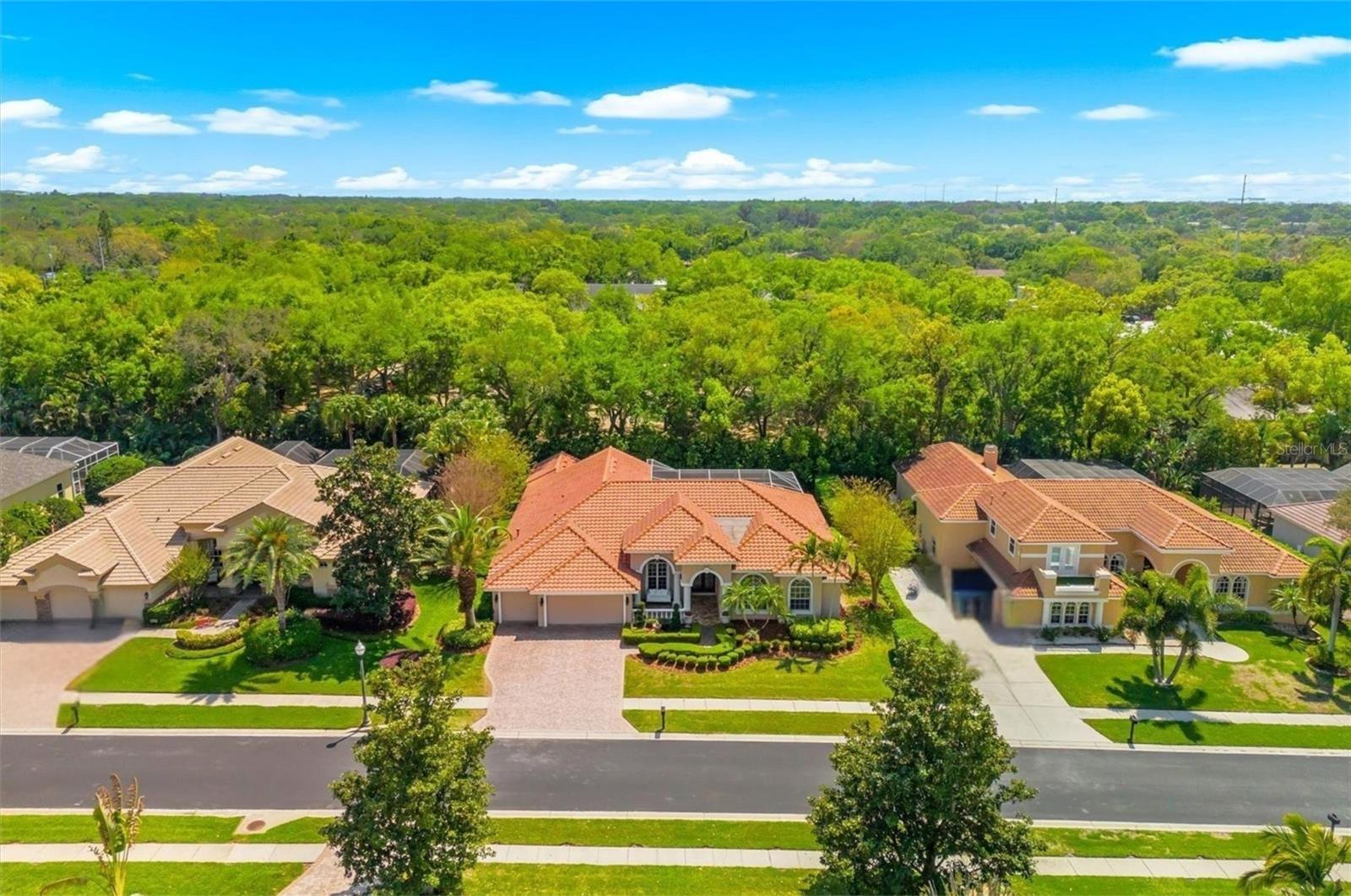 Image 64 of 68 For 1560 Canopy Oaks Boulevard