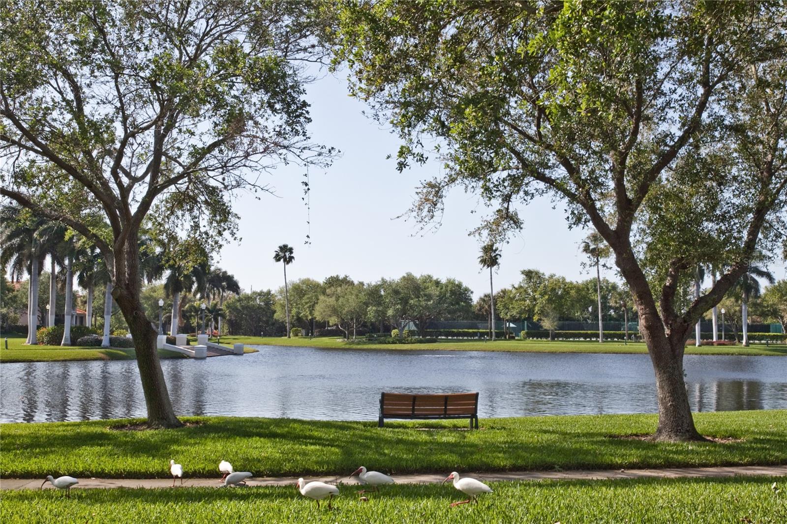 Image 72 of 83 For 4717 Dolphin Cay Lane S 202