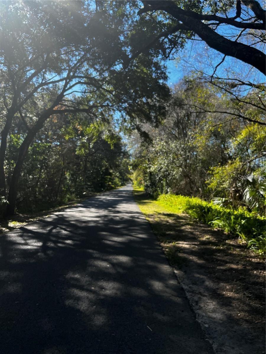 Image 3 of 7 For 310 Skytrail