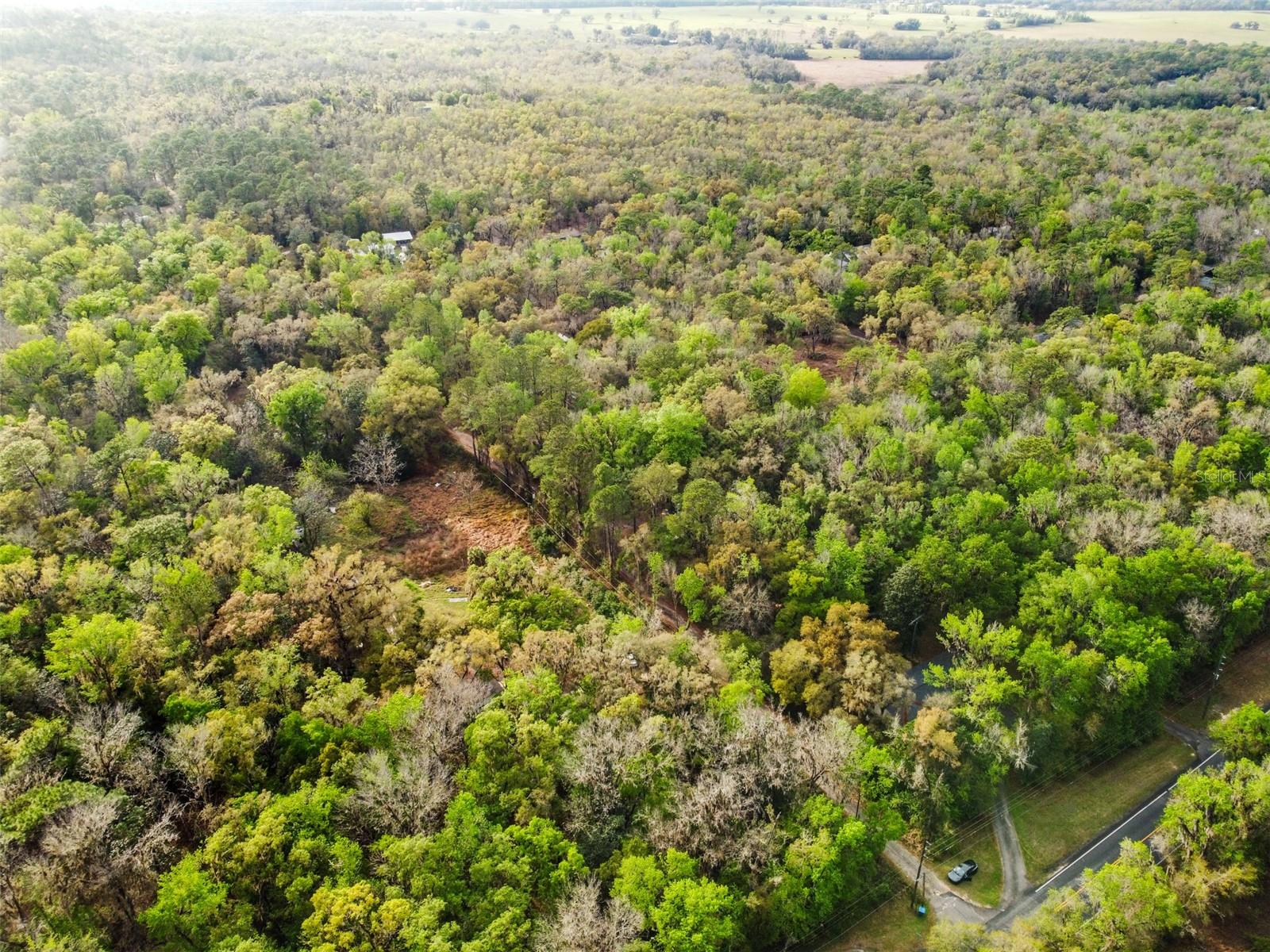 Image 3 of 9 For 0 Chisholm Street