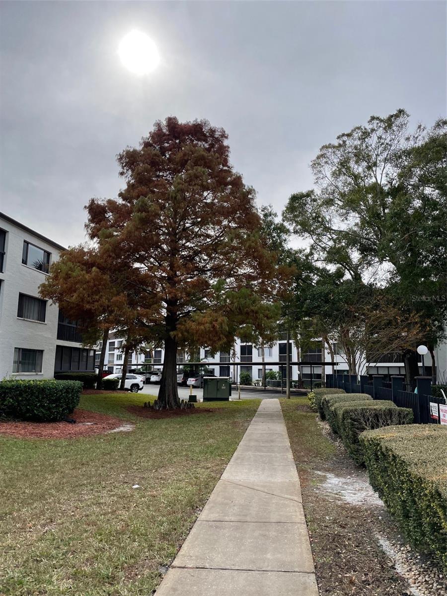 Image 26 of 26 For 2591 Countryside Boulevard 5203