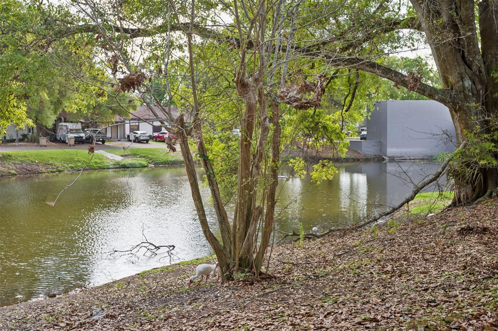 Image 47 of 50 For 10307 Councils Way