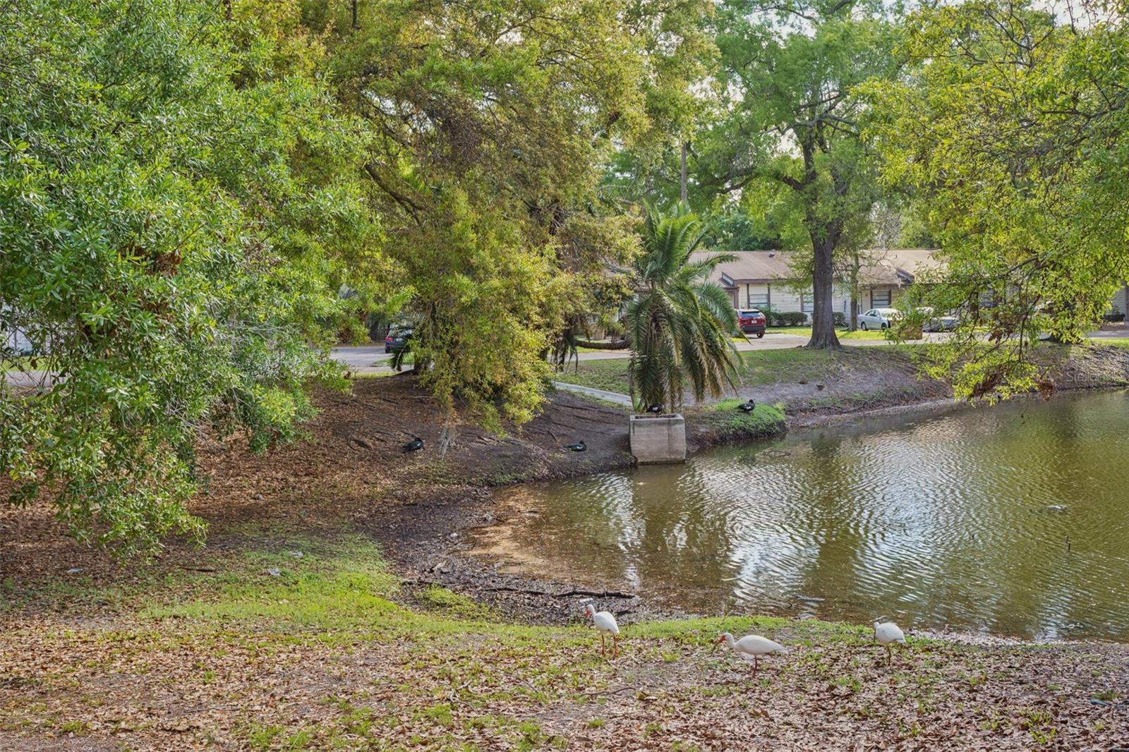 Image 48 of 50 For 10307 Councils Way