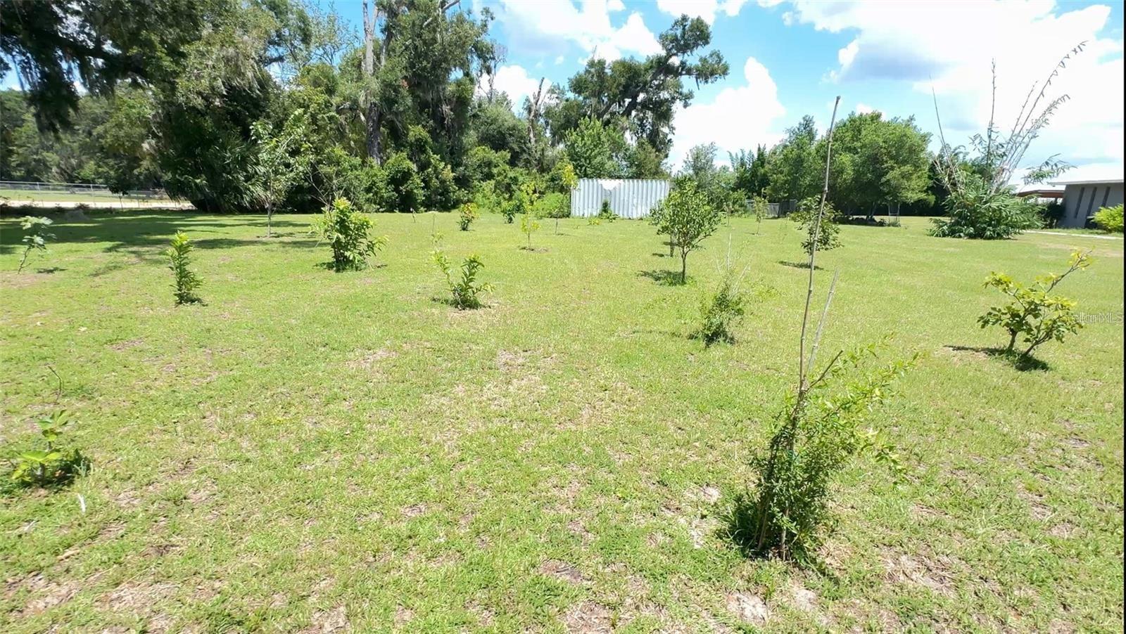 Image 52 of 57 For 4925 Us Highway 441