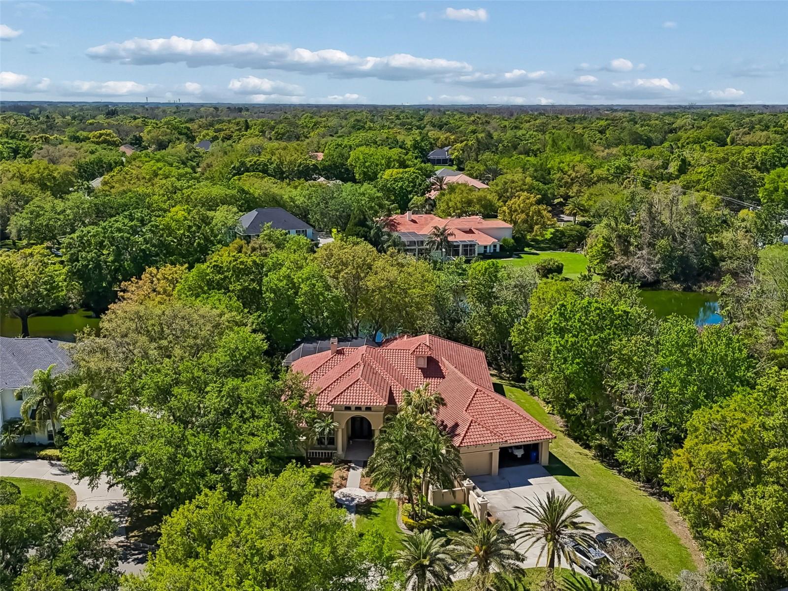 Listing photo id 2 for 17008 Madres De Avila