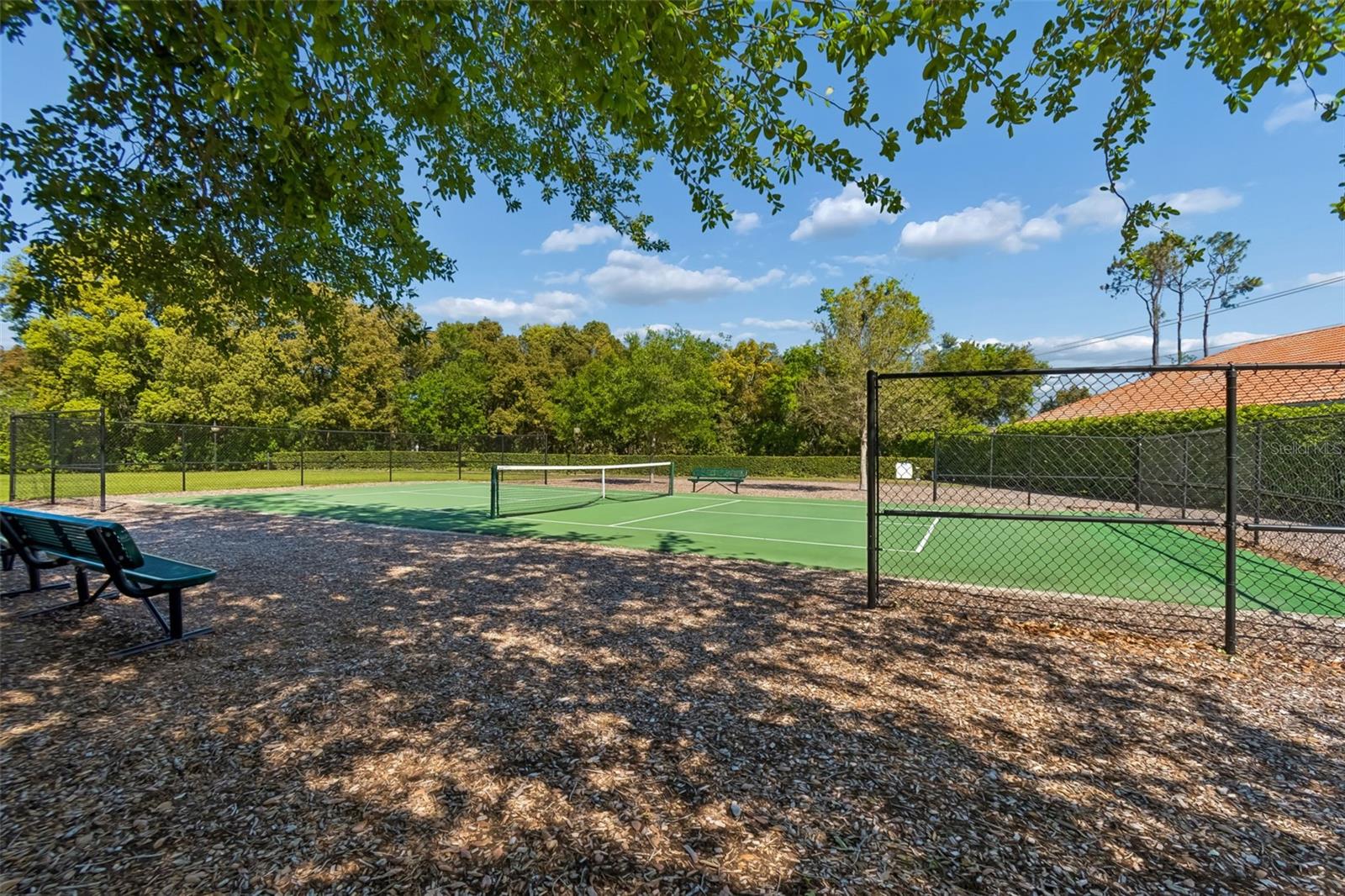 Listing photo id 38 for 17008 Madres De Avila