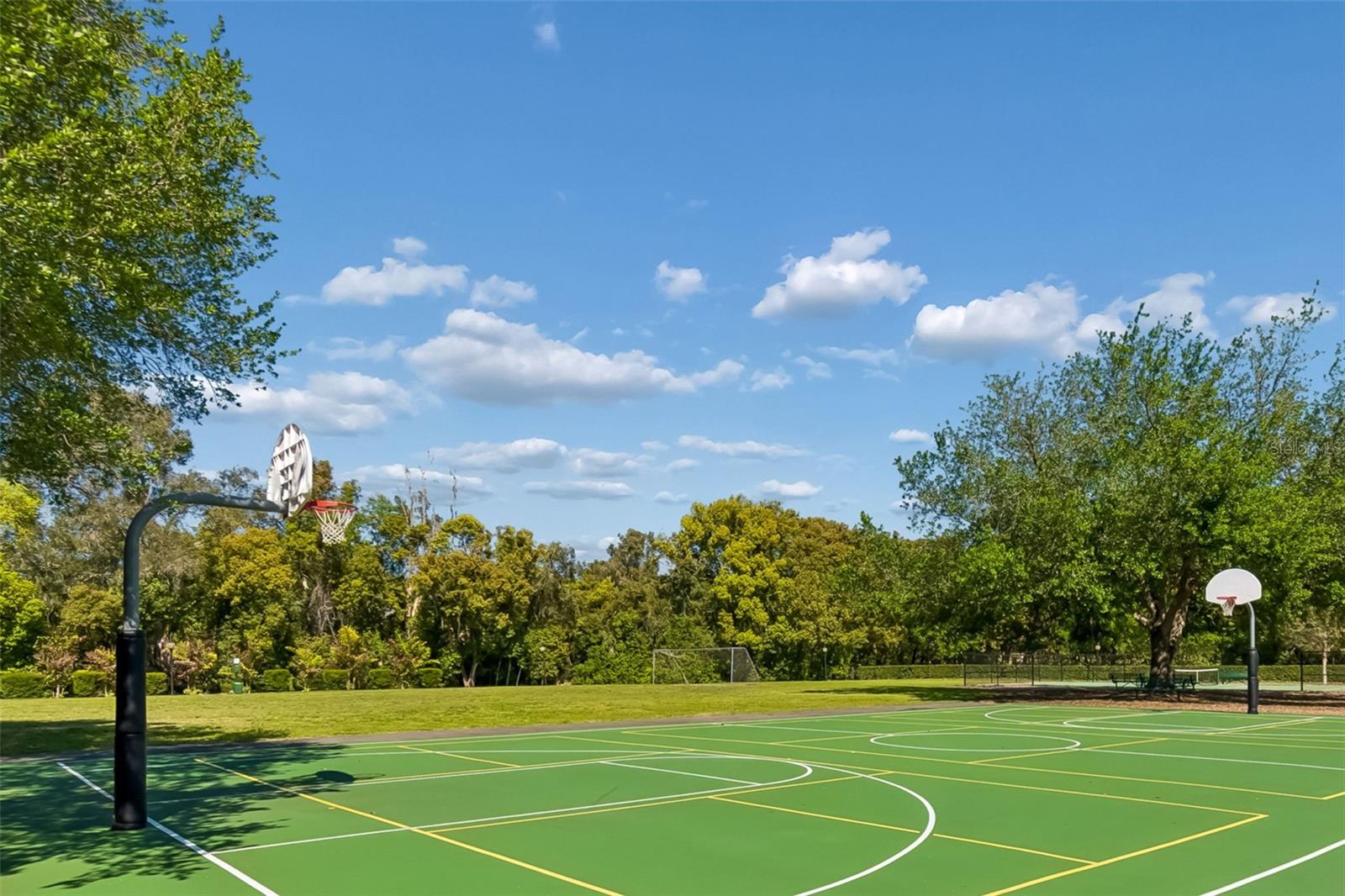 Listing photo id 39 for 17008 Madres De Avila