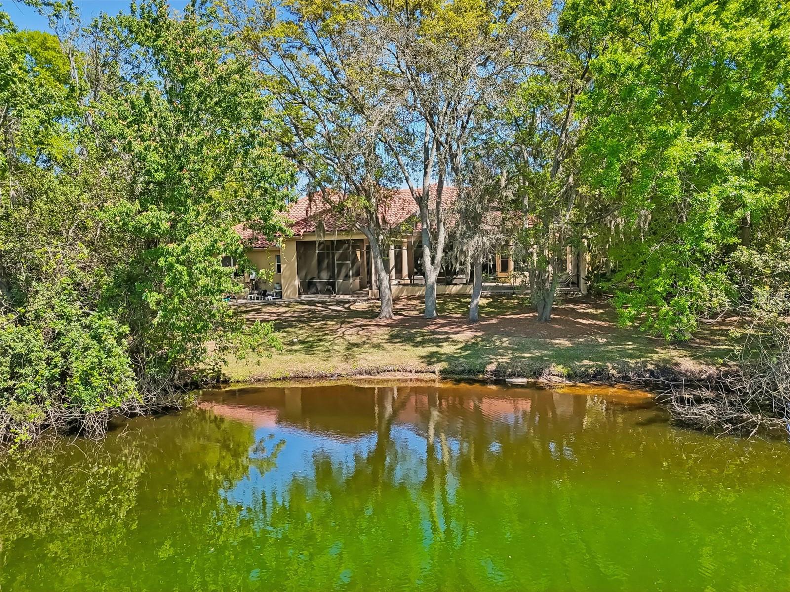 Listing photo id 4 for 17008 Madres De Avila