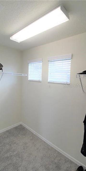 Image 37 of 49 For 1049 Multiflora Loop