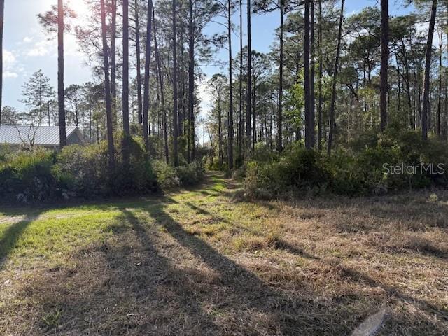 Image 5 of 8 For Tbd Us-19  