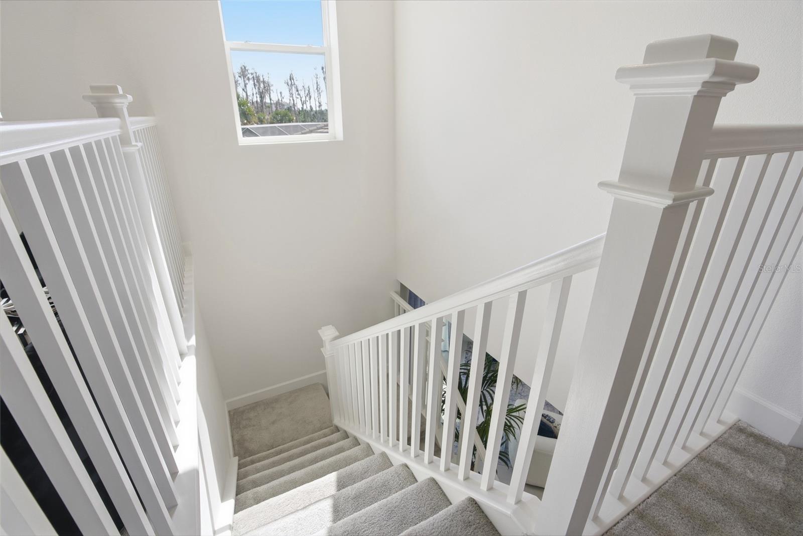 Listing photo id 20 for 32626 Tree Of Life Avenue