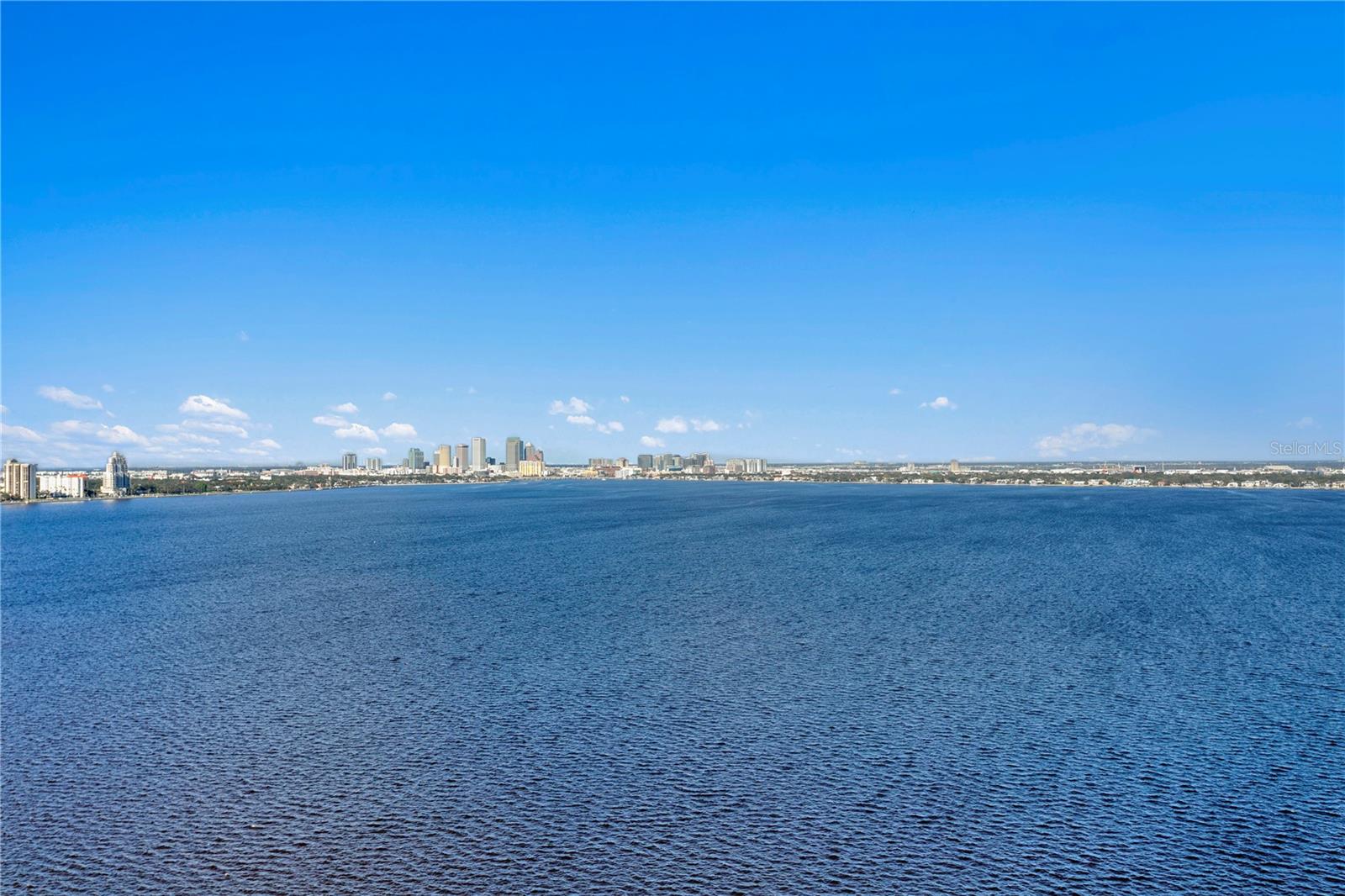 Listing photo id 51 for 4201 Bayshore Boulevard 2101