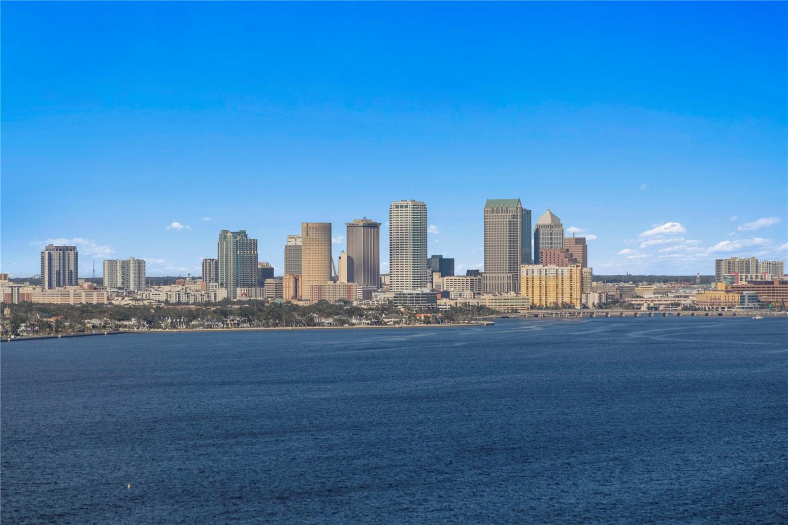 Listing photo id 53 for 4201 Bayshore Boulevard 2101