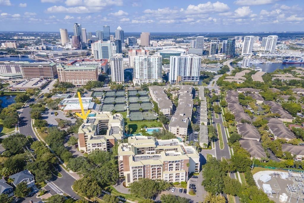 Image 2 of 50 For 1000 Harbour Island Boulevard 2511