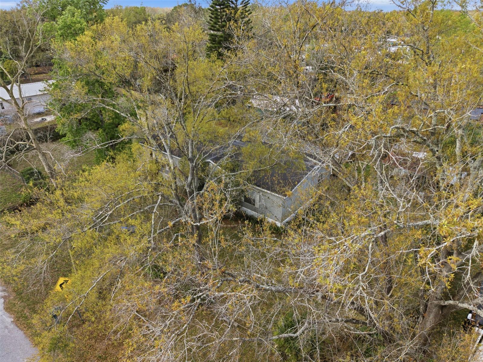 Listing photo id 18 for 12302 Pittsfield Avenue