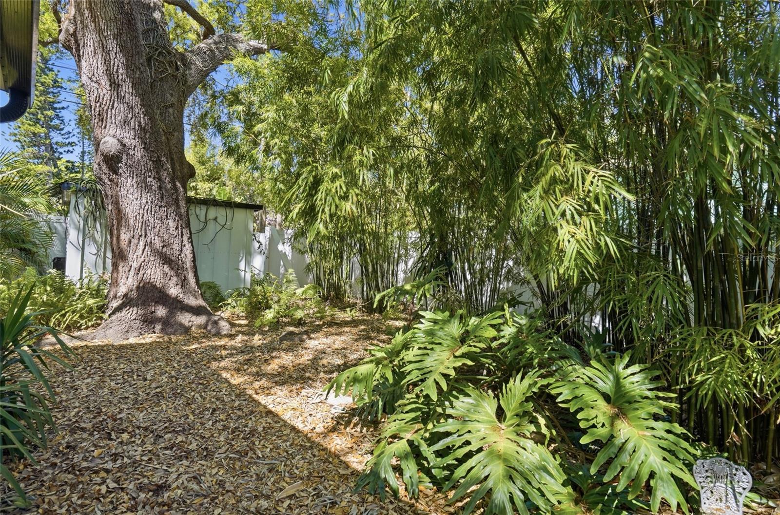 Image 44 of 53 For 2719 52nd Street S