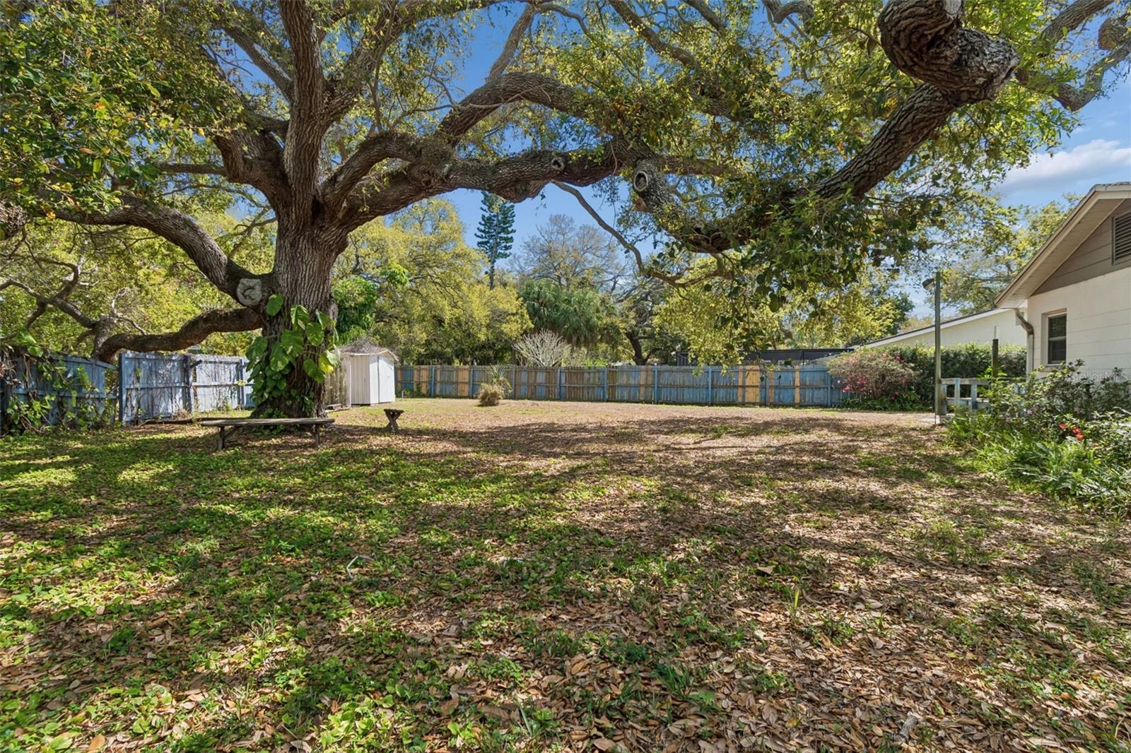 Image 83 of 89 For 2027 Park Street N