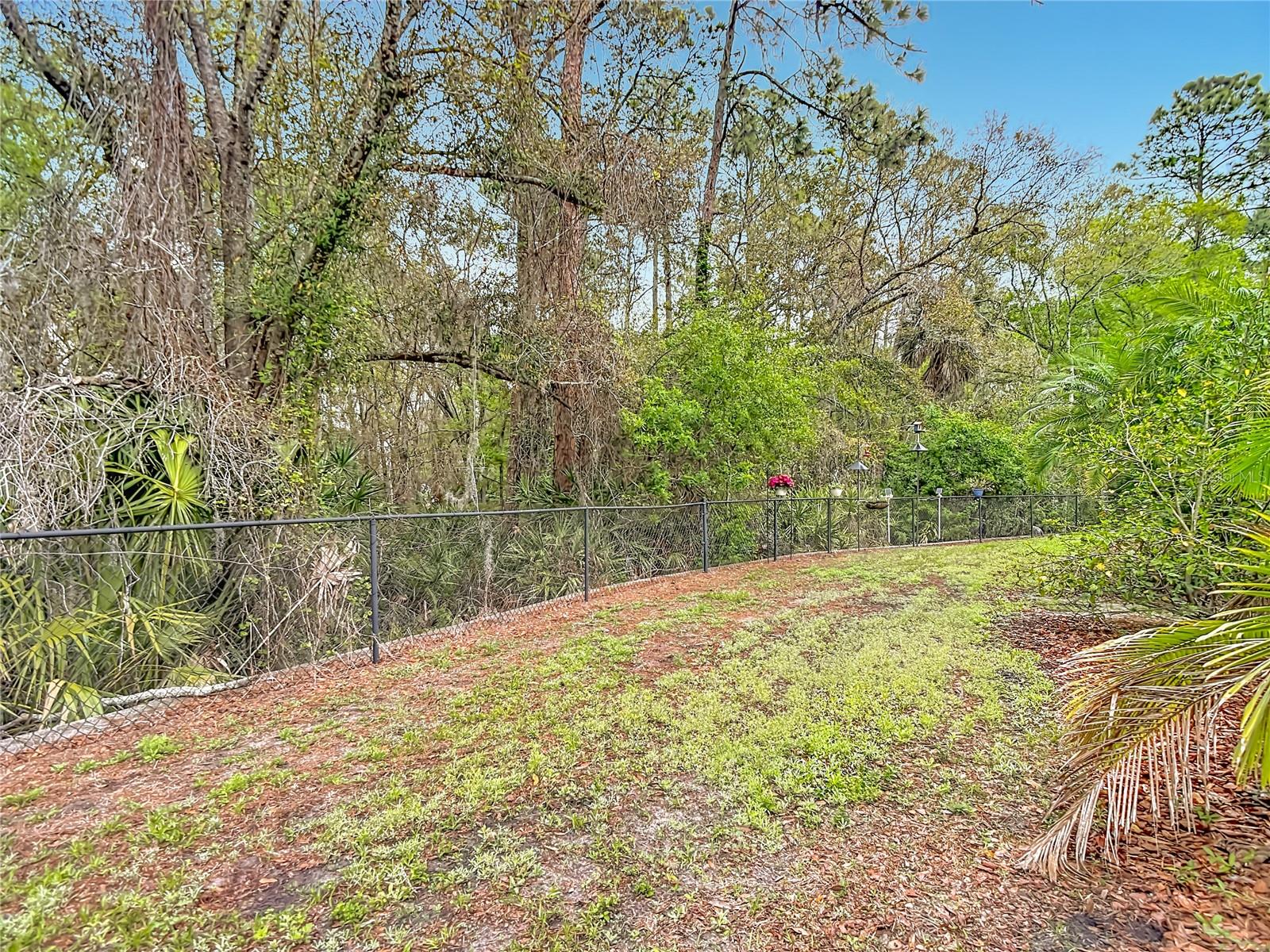 Image 34 of 35 For 12516 Streamdale Drive