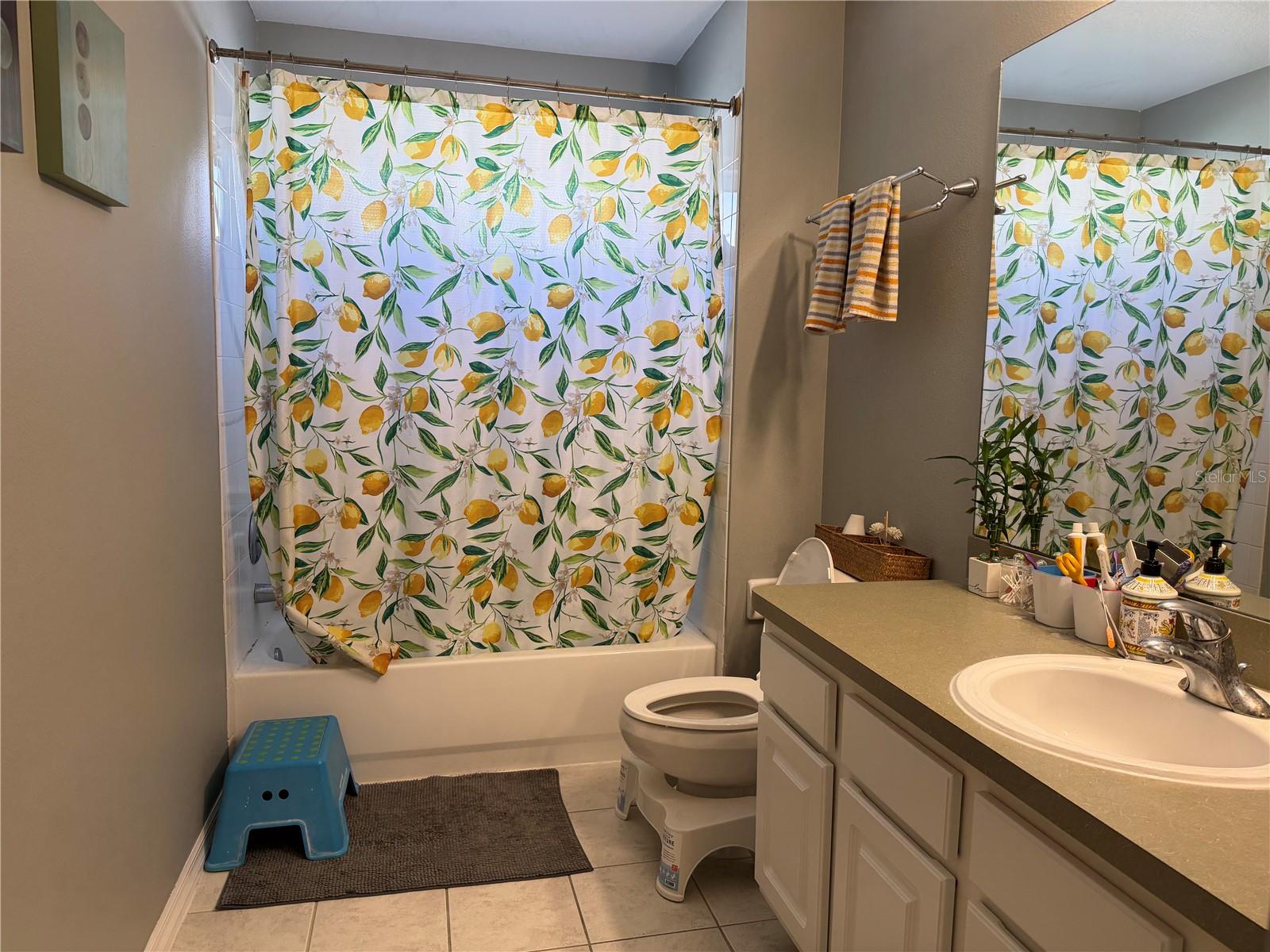 Image 14 of 25 For 11253 Windsor Place Circle