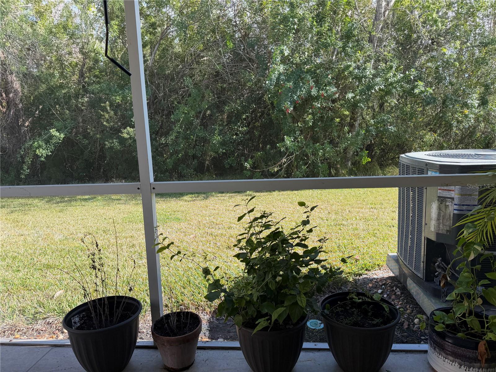 Image 20 of 25 For 11253 Windsor Place Circle