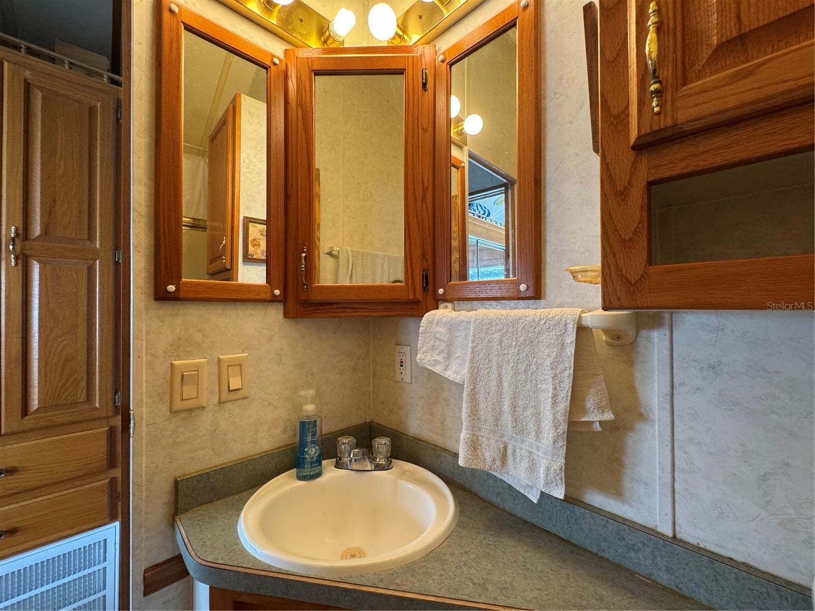 Image 19 of 22 For 35238 Dodie Drive 09