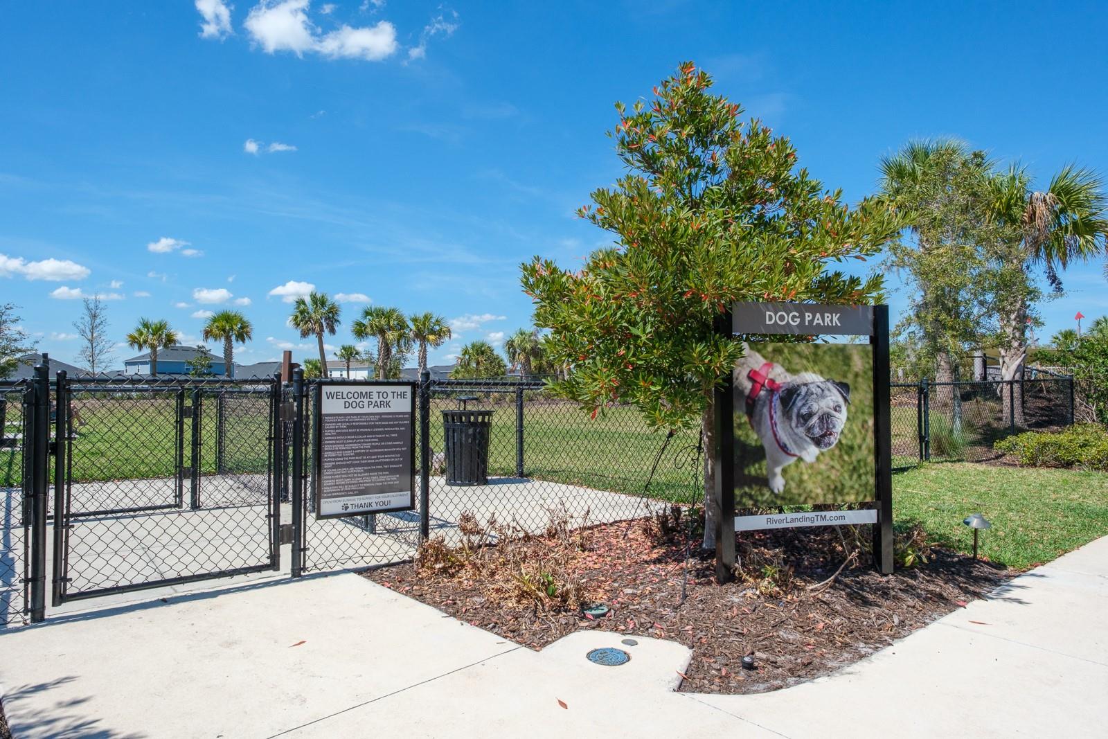 Image 100 of 100 For 2651 Alluvial Way