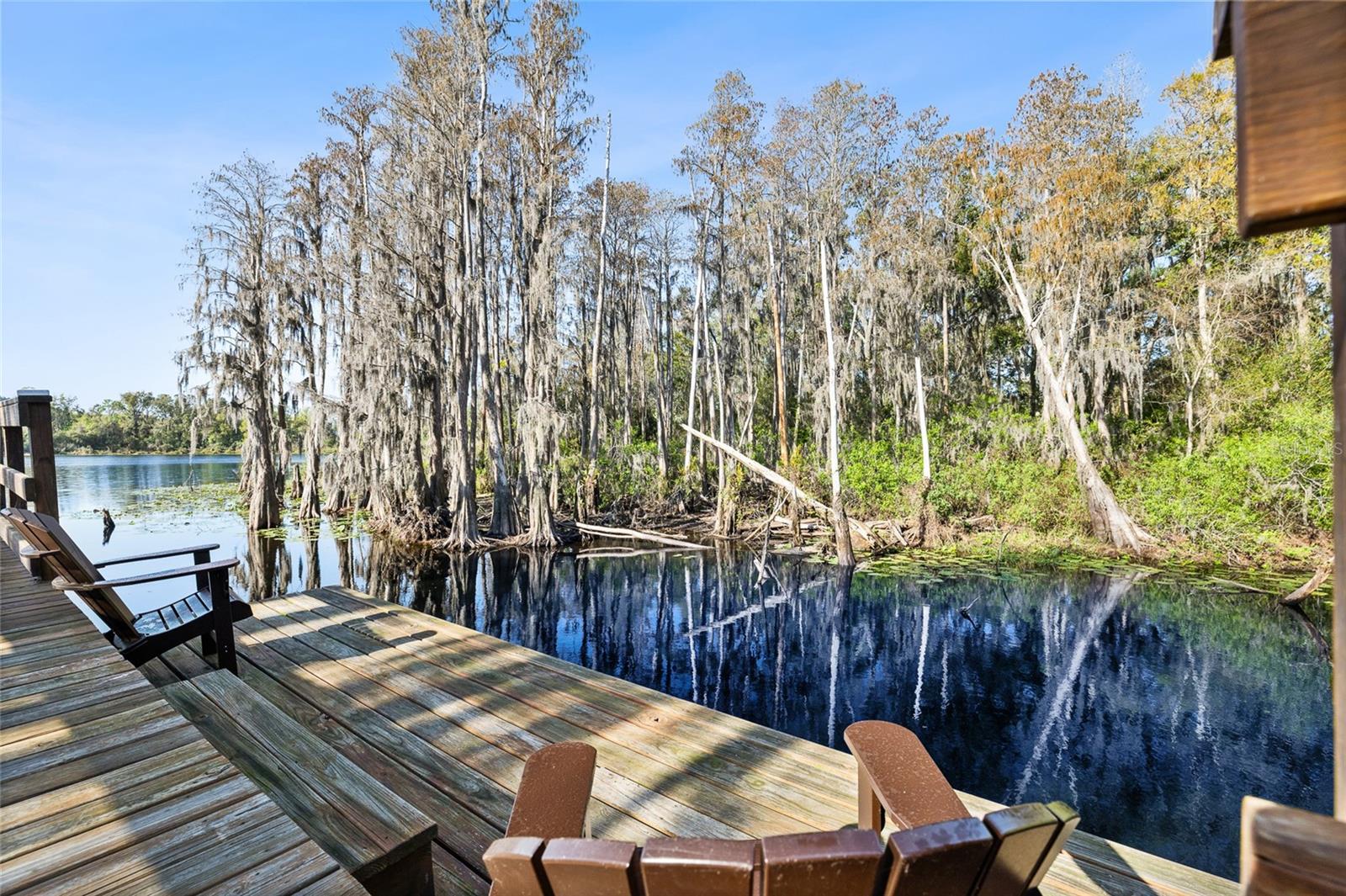 Image 34 of 40 For 14205 Damselfly Drive