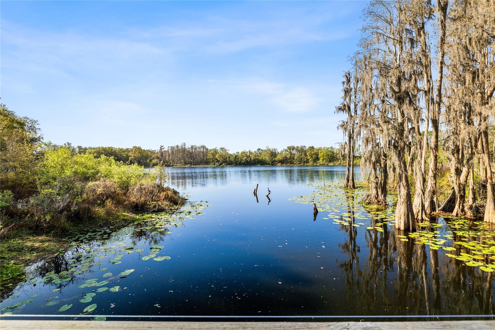 Image 36 of 40 For 14205 Damselfly Drive