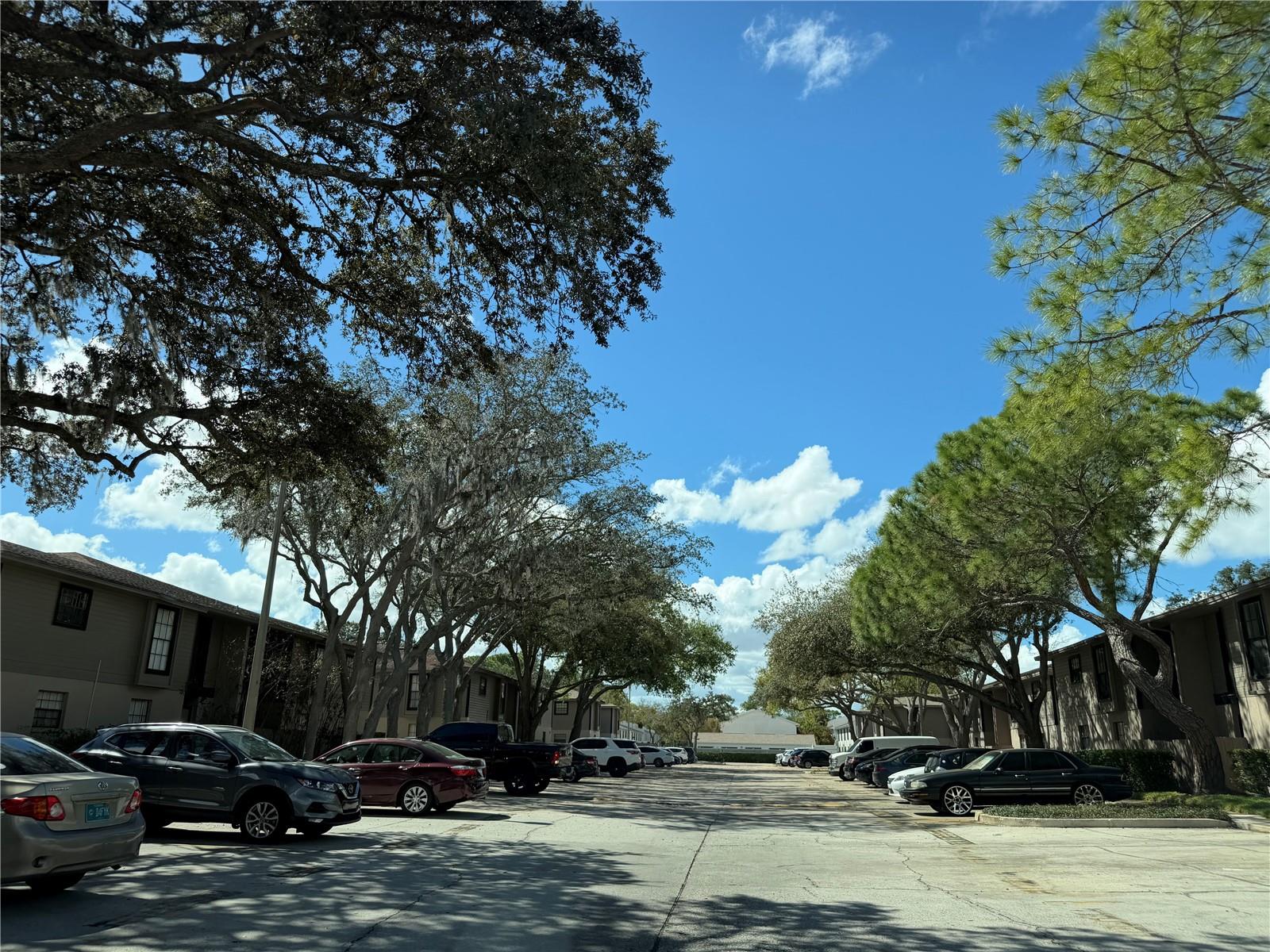 Image 2 of 34 For 4015 Ashford Green Place D201