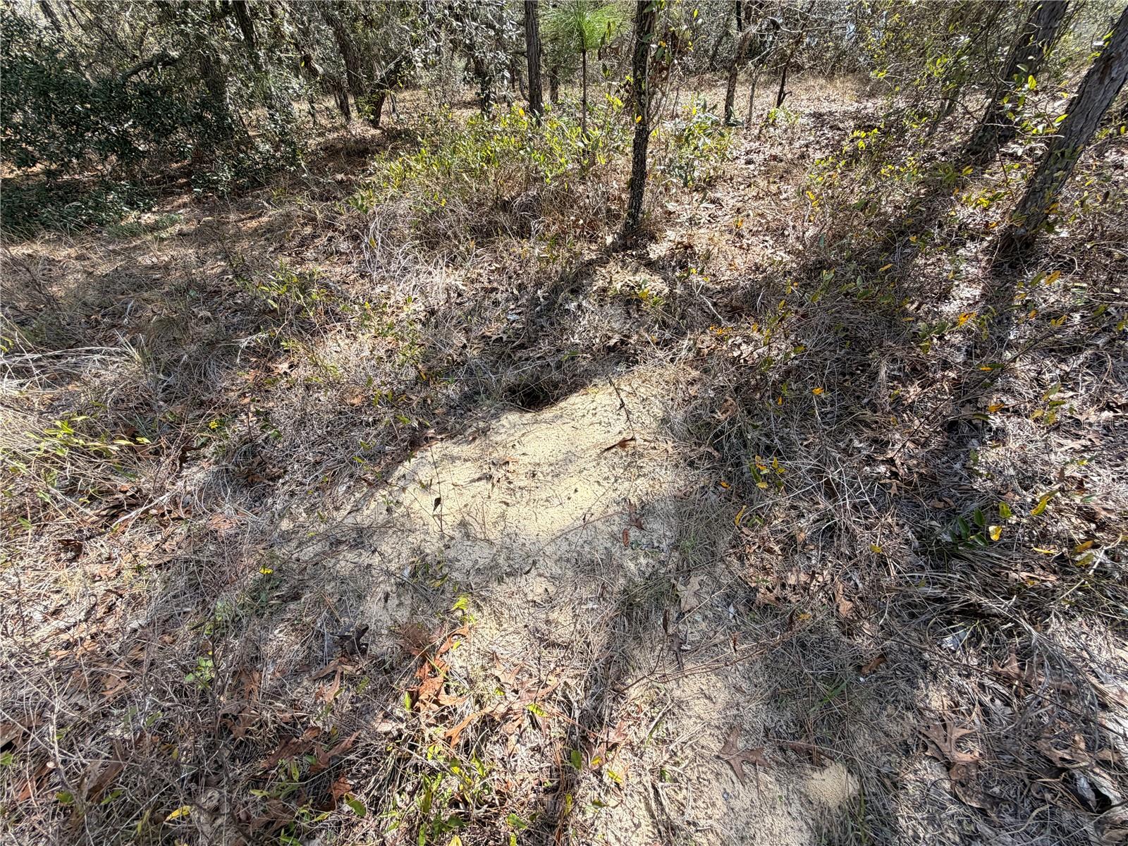 Image 10 of 27 For 2 Linder Street