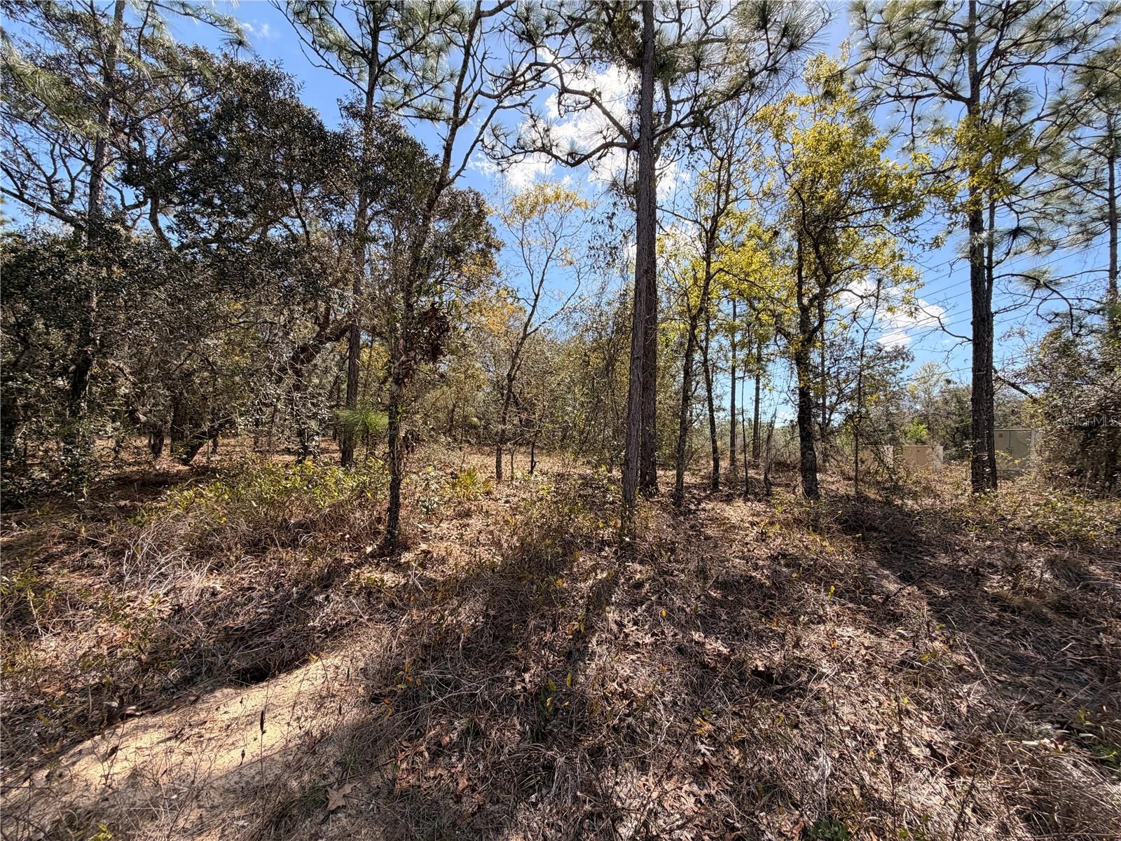 Image 11 of 27 For 2 Linder Street