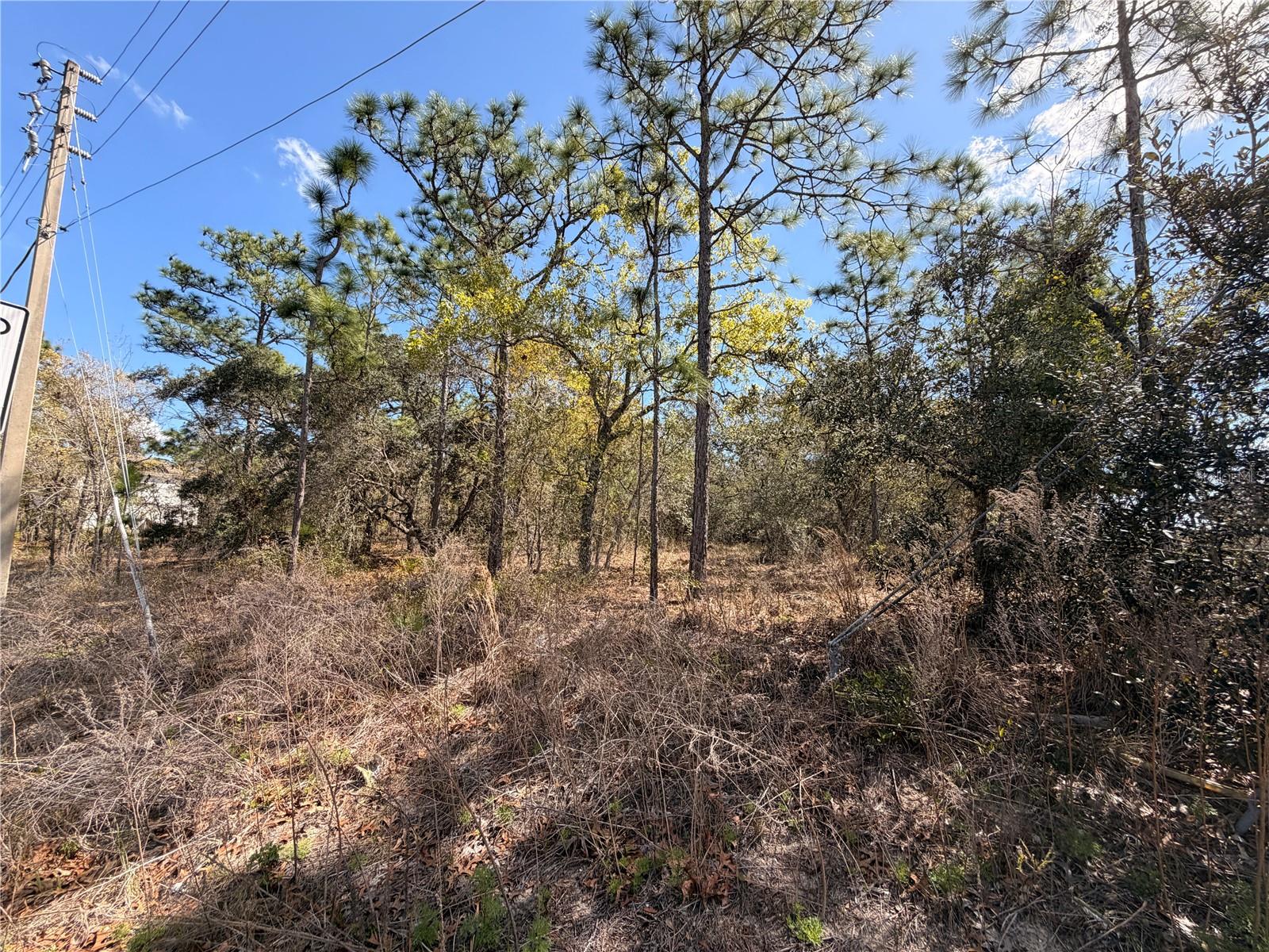 Image 3 of 27 For 2 Linder Street