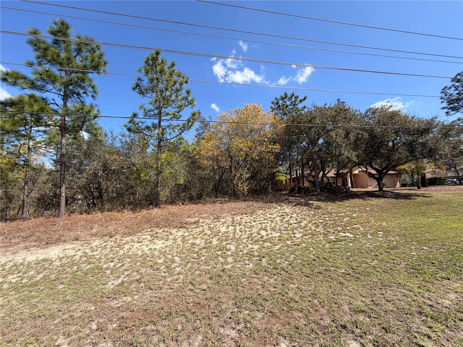 Image 7 of 27 For 2 Linder Street